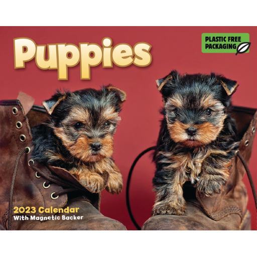 Puppies Mini Boxed Calendar 2023