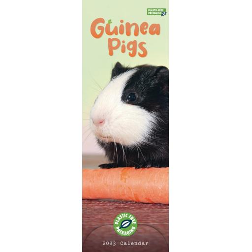 Guinea Pigs (PFP)Slim Calendar 2023