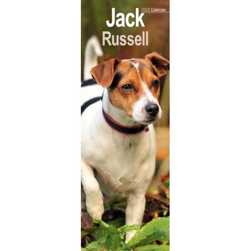 Jack Russell Slim Calendar 2023
