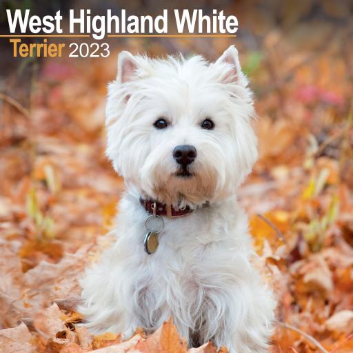 West Highland White Terrier Wall Calendar 2023