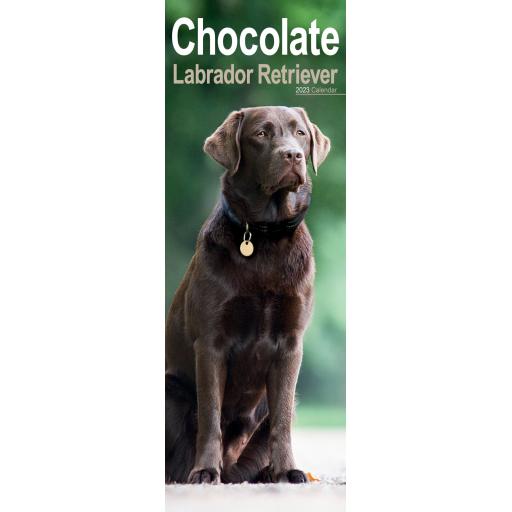 Labrador Retriever Chocolate Slim Calendar 2023