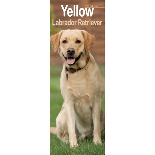 Labrador Retriever Yellow Slim Calendar 2023