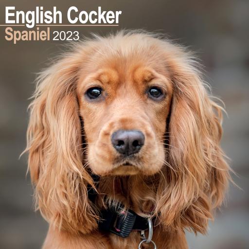 English Cocker Spaniel Wall Calendar 2023