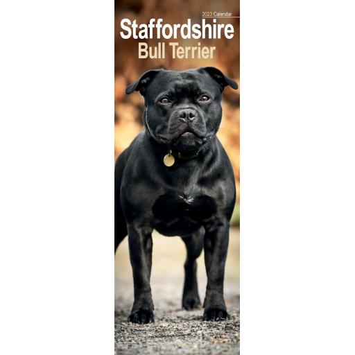 Staffordshire Bull Terrier Slim Calendar 2023