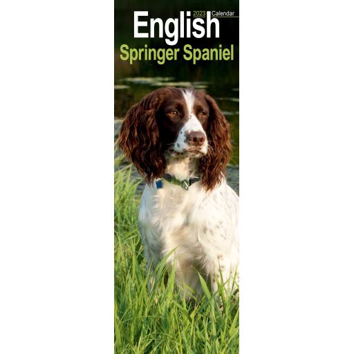 English Springer Spaniel Slim Calendar 2023
