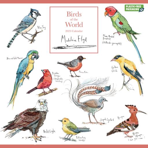 Madeleine Floyd Birds of the World (PFP) Wall Calendar 2023