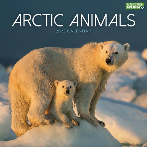 Arctic Animals (PFP) Wall Calendar 2023
