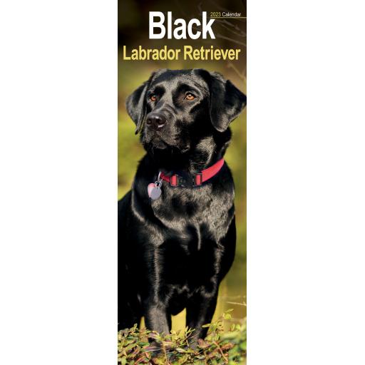 Labrador Retriever Black Slim Calendar 2023