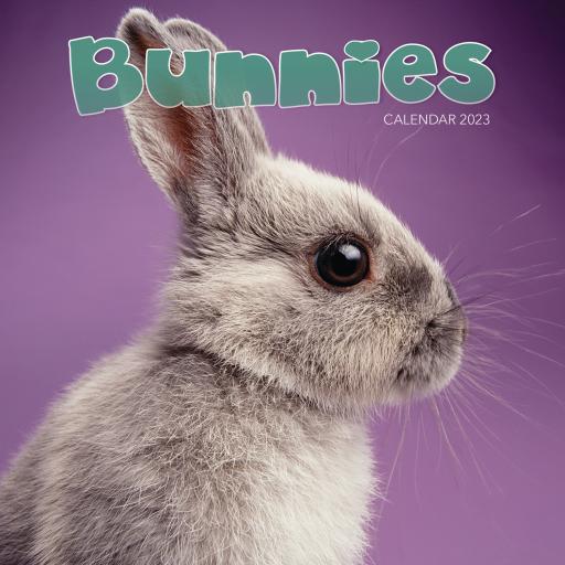 Bunnies Mini Wall Calendar 2023