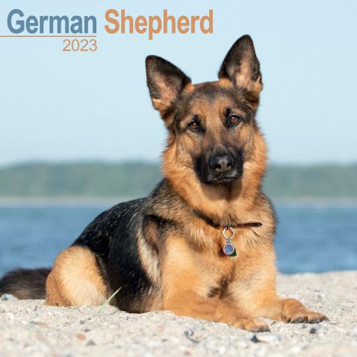 German Shepherd Wall Calendar 2023