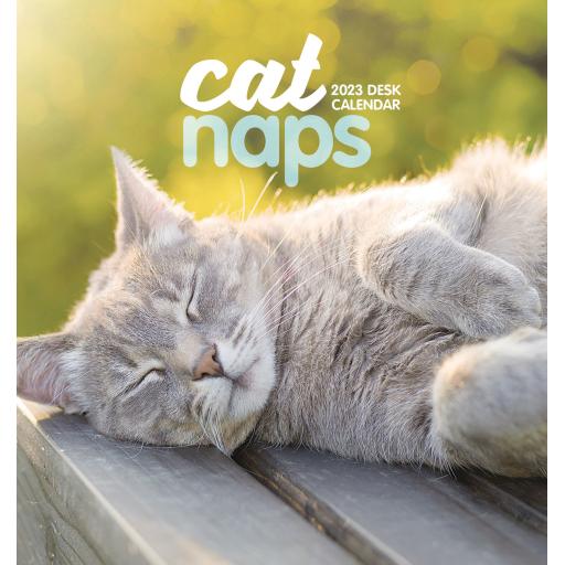 Cat Naps Easel Calendar 2023