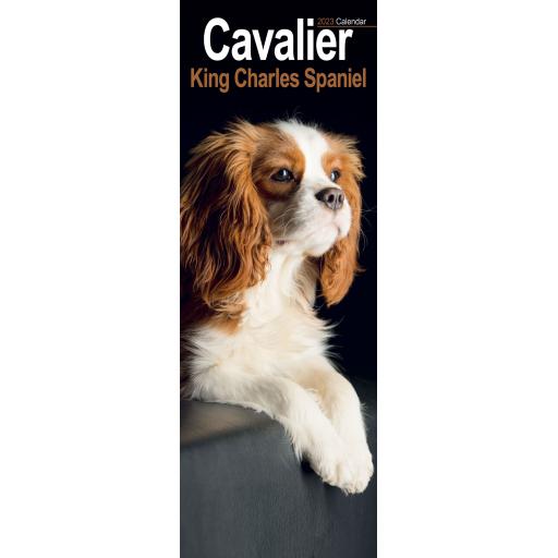 Cavalier King Charles Spaniel Slim Calendar 2023