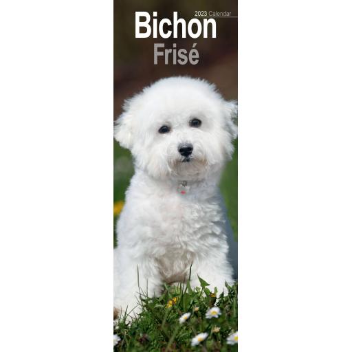 Bichon Frise Slim Calendar 2023