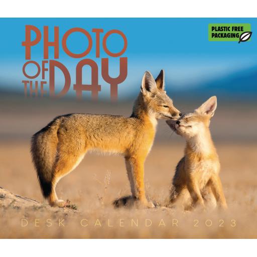 Photo of The Day Boxed Calendar 2023