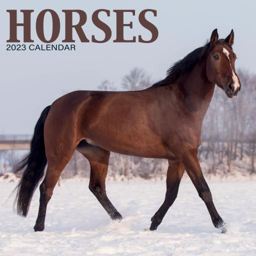 Horses Mini Wall Calendar 2023