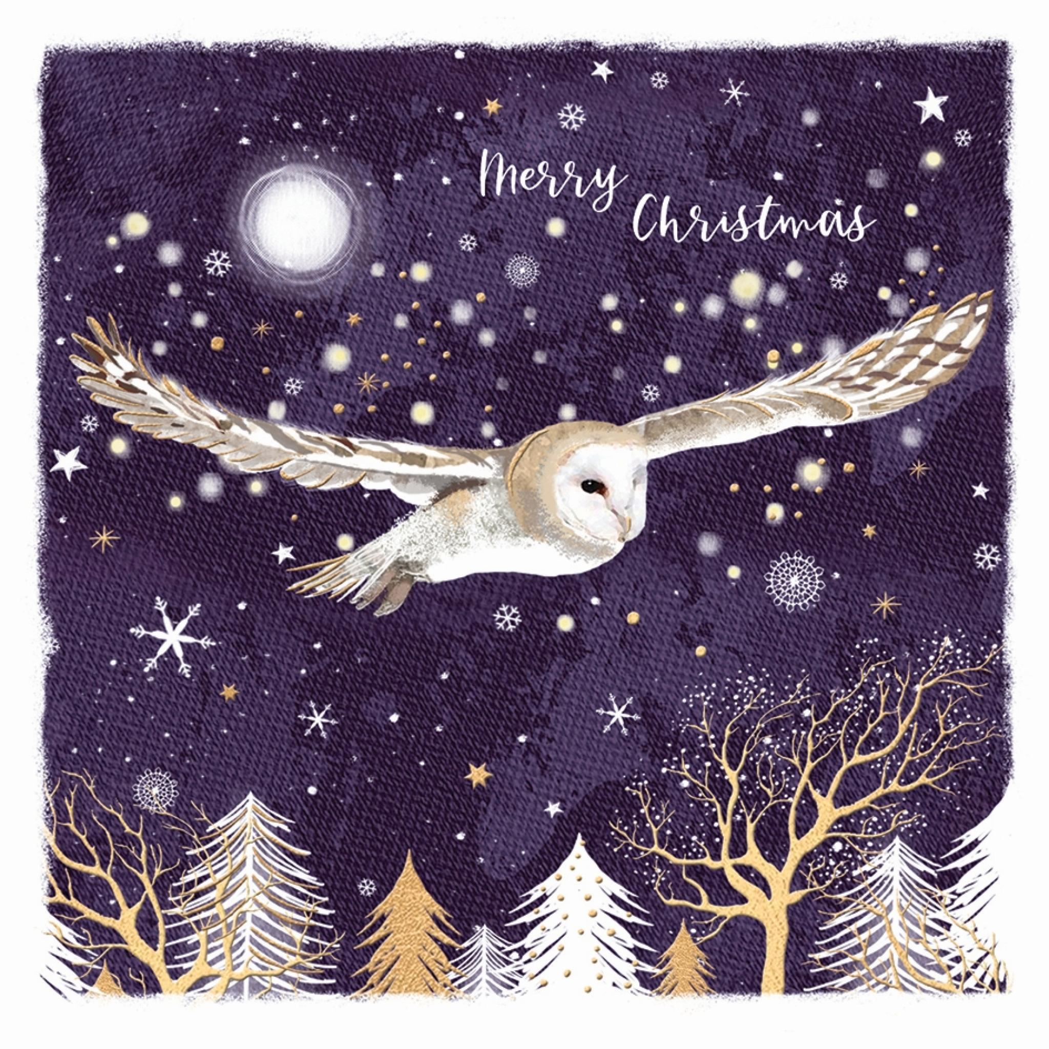 RSPB Small Square Xmas Cards (10) Owl & Forest