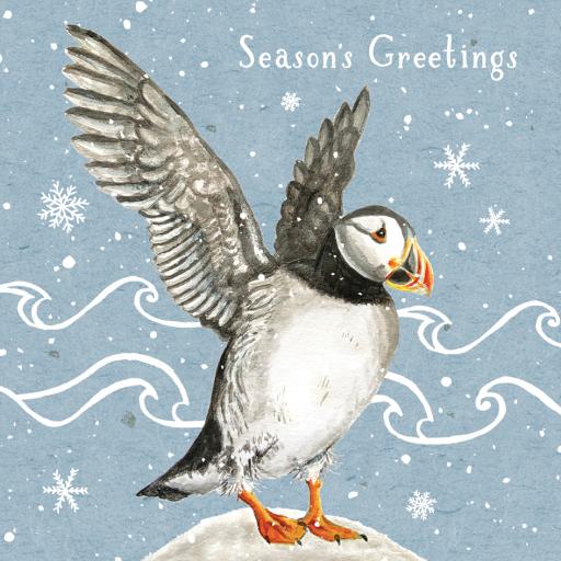 RSPB Small Square Xmas Cards (10) - Puffin & Waves