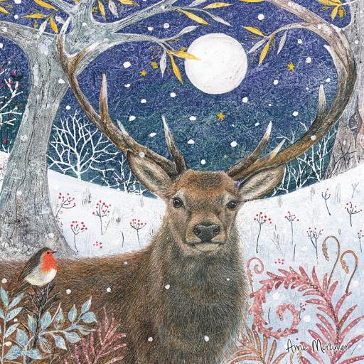 RSPB Small Square Xmas Cards (10) - Stag &amp; Robin