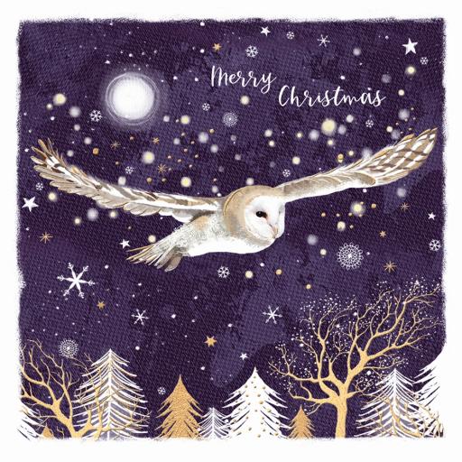 RSPB Small Square Xmas Cards (10) - Owl & Forest
