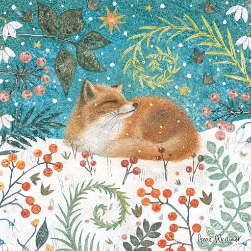 RSPB Small Square Xmas Cards (10) - Festive Fox