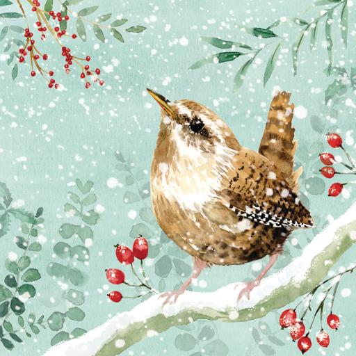 RSPB Small Square Xmas Cards (10) - Little Wren