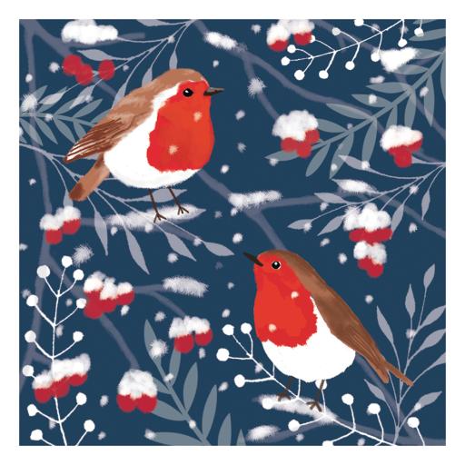 RSPB Small Square Christmas Card Pack - Robin &amp; Berries