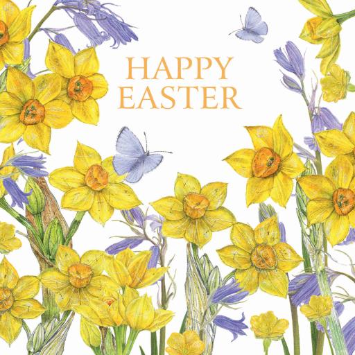 Easter 5 Card Pack - Daffodils