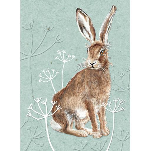RSPB - In The Wild Card - Hare