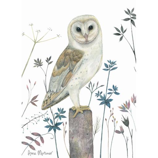 RSPB Card - In The Flowers - Watching Owl
