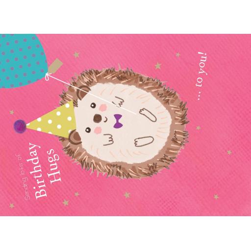 Pom Poms Card Collection - Birthday Hugs