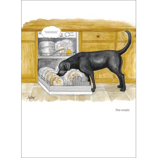 Alison's Animals Card Collection - Prewash