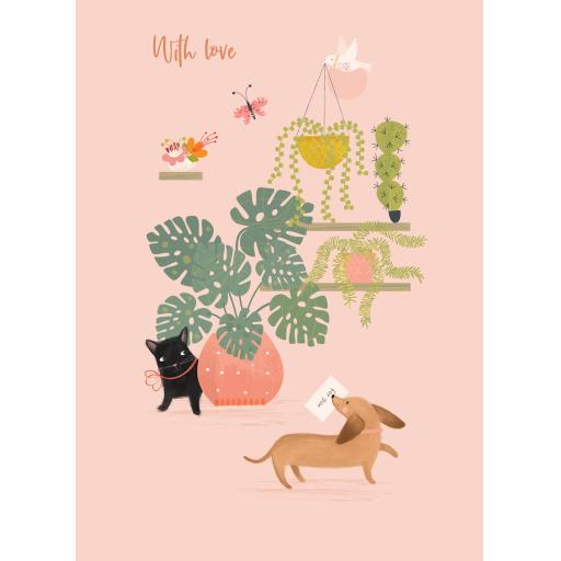 Olive & Wilma Card Collection - Indoor Plants