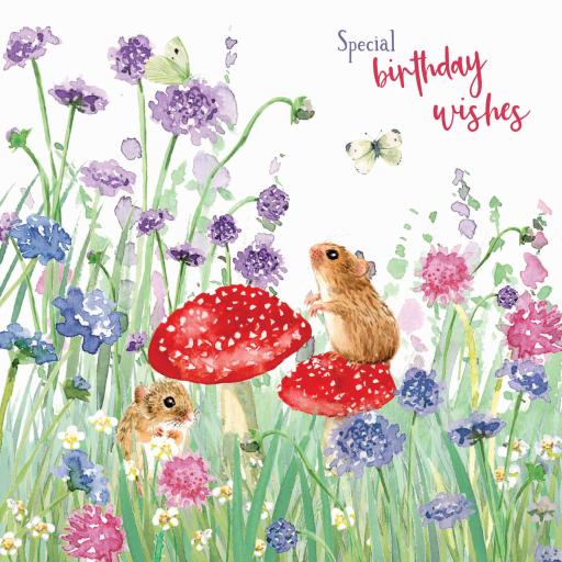 Wild & Serene Card Collection - Mice & Toadstools