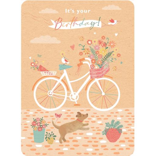 Beautiful Moments Card Collection - Bicycle