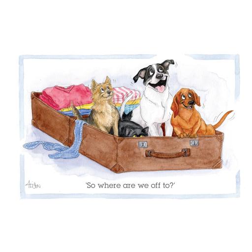 Alisons Animals Card - So where are we off to?