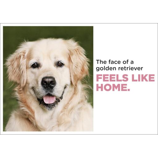 Barking at the Moon Card - The face of a Golden Retriever