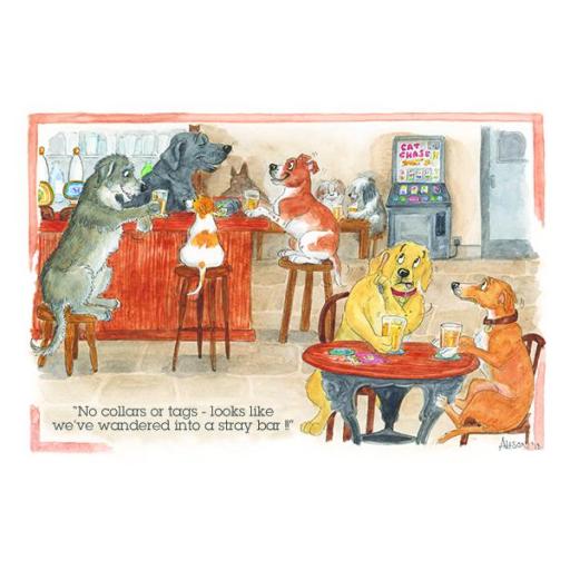 Alisons Animals Card - Stray bar