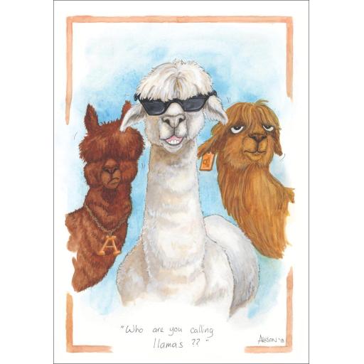 Alisons Animals Card - Who are you calling Llamas?