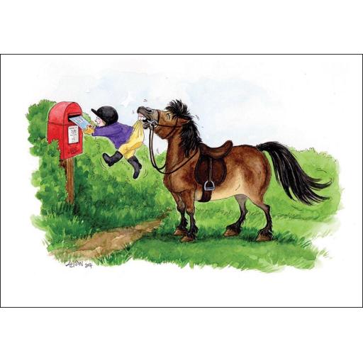 Alisons Animals Card - Handy pony