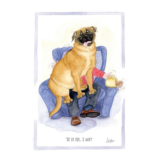 Alisons Animals Card - If I fit, I sit