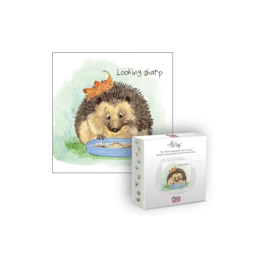 Notecard Pack - Alisons Animals - Hedgehog