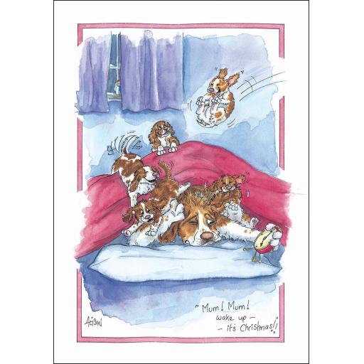 Christmas Card - Alisons Animals - Christmas Morning