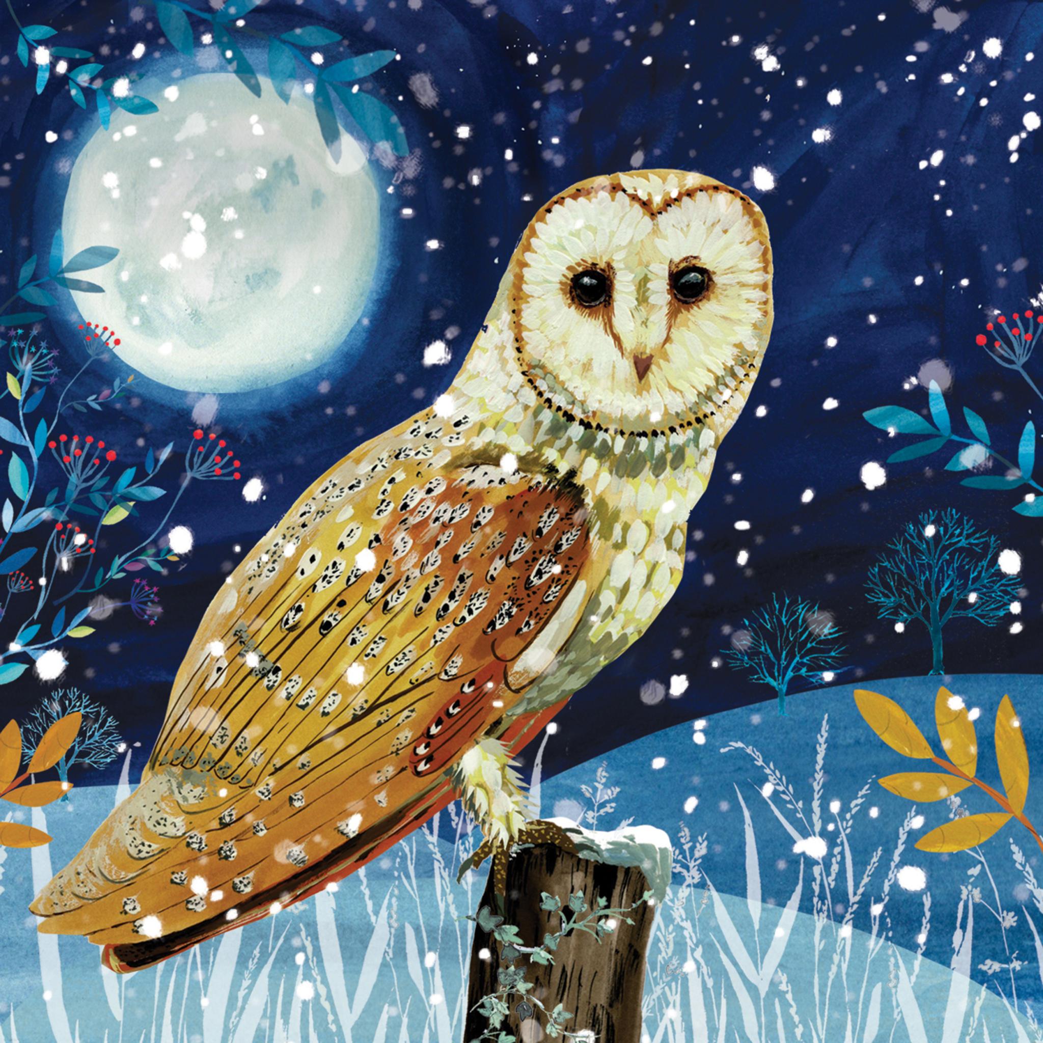 Owl - RSPB Small Square Christmas 10 Card Pack