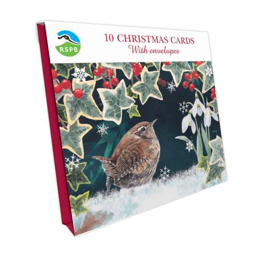 Wren & Ivy - RSPB Small Square Christmas 10 Card Pack