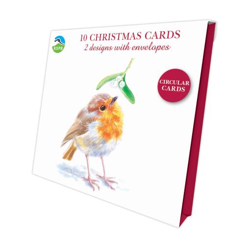 Inquisitive Robins - RSPB Luxury Christmas 10 Card Pack