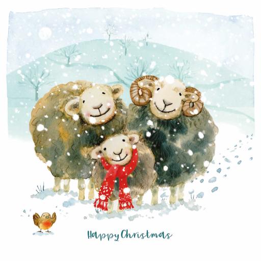 Charity Christmas Card Pack - Huddling Herdwicks