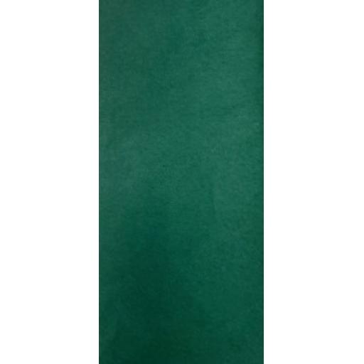 Christmas Tissue Paper Pack - Holiday Green