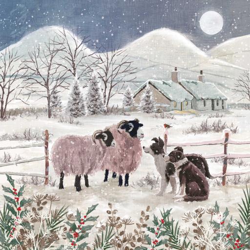 Charity Christmas Card Pack - Collie & Friends