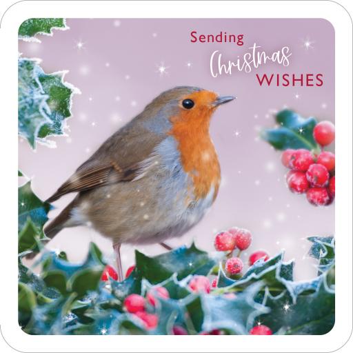 Christmas Visitors - RSPB Luxury Christmas 10 Card Pack