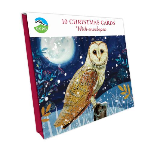 Owl - RSPB Small Square Christmas 10 Card Pack